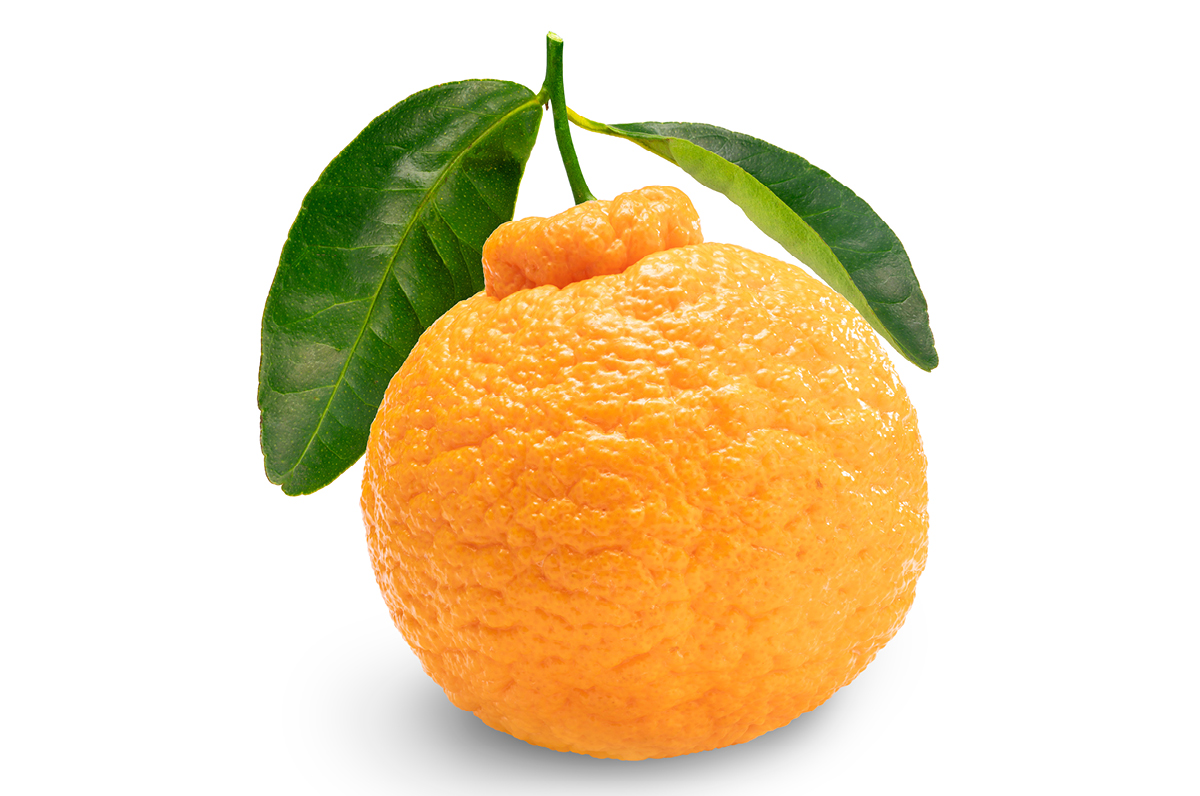 sumo mandarins, seasonal citrus, west seattle thriftway